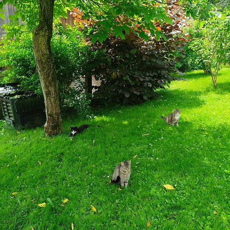 Apartment Lidija Bled Bagian luar foto