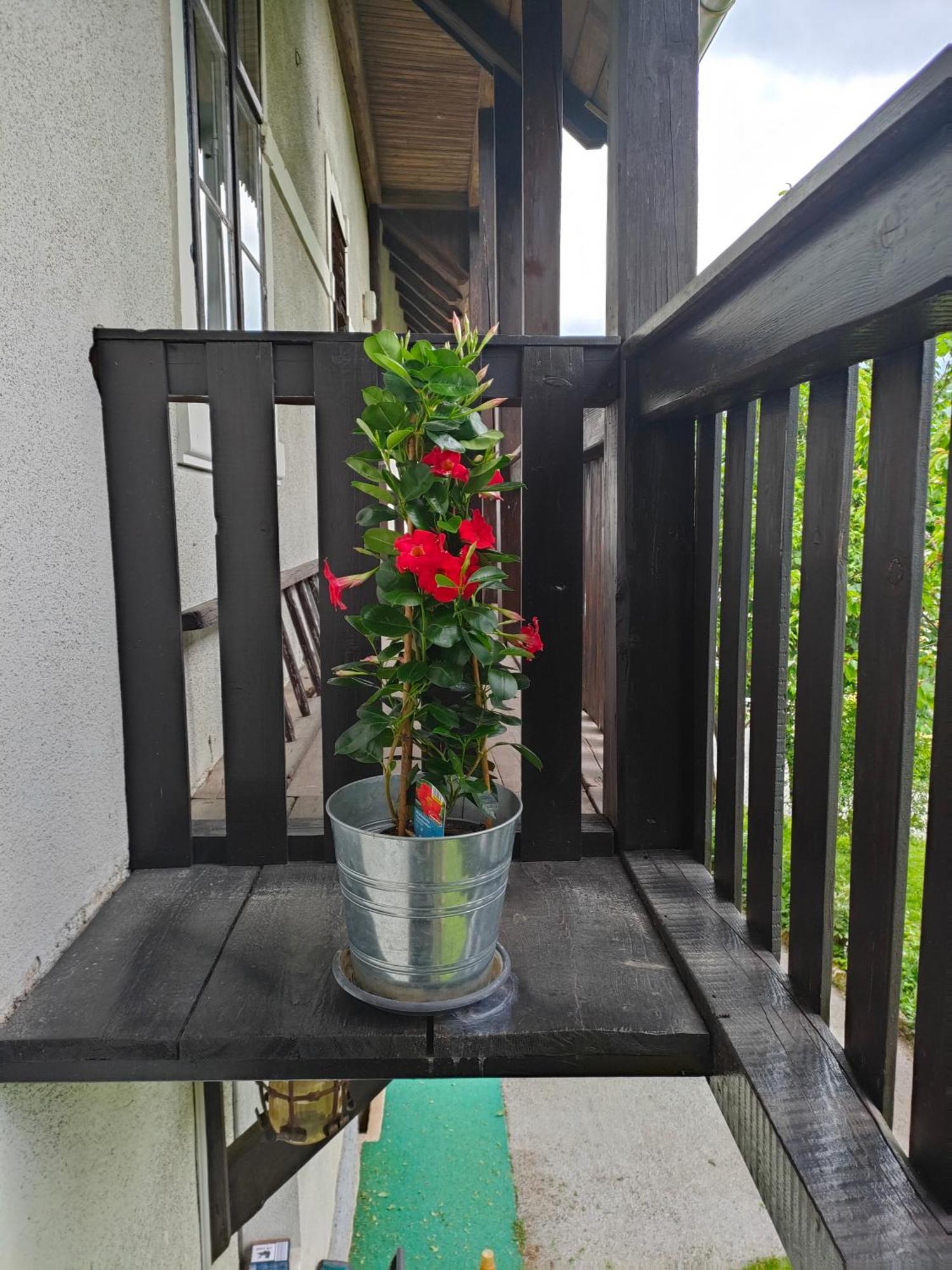 Apartment Lidija Bled Bagian luar foto